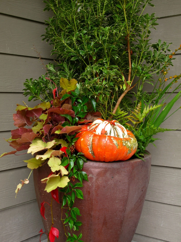 Holiday Container Gardens by Le Jardinet - Photo 13
