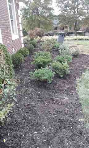 Alberto Alavez Professional Lawn Services LLC 4 by Alberto Alavez Professional Lawn Services LLC - Photo 141