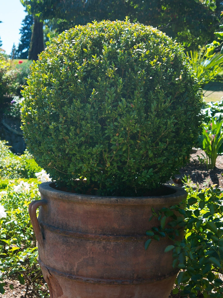 Mediterranean style by Le Jardinet - Photo 5