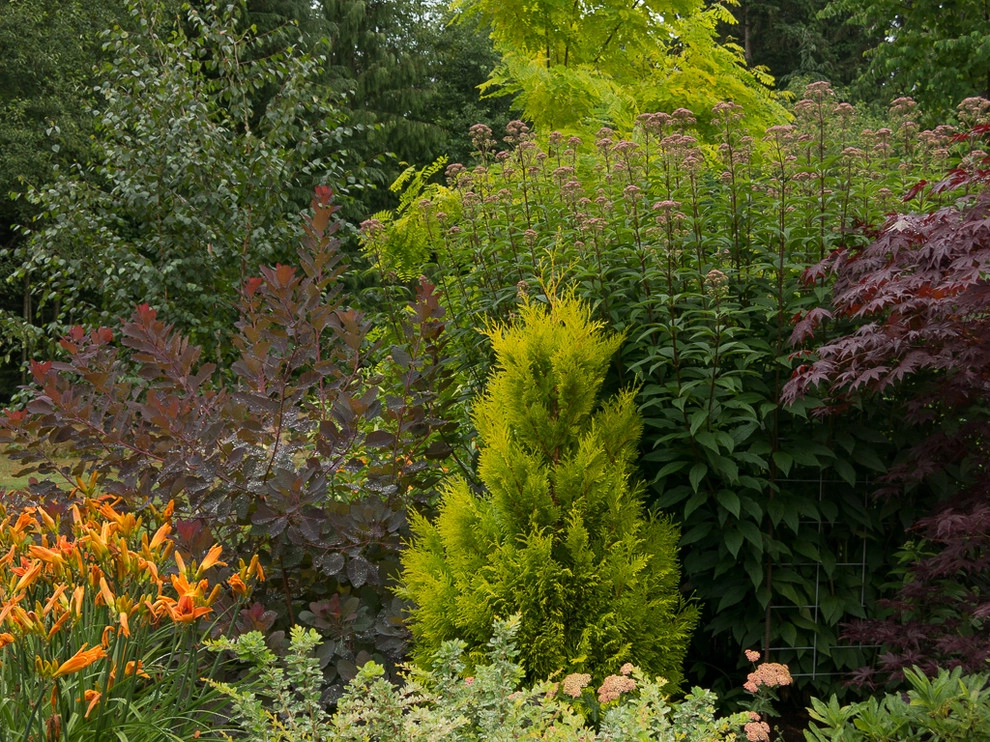 narrow trees for narrow gardens by Le Jardinet - Photo 6