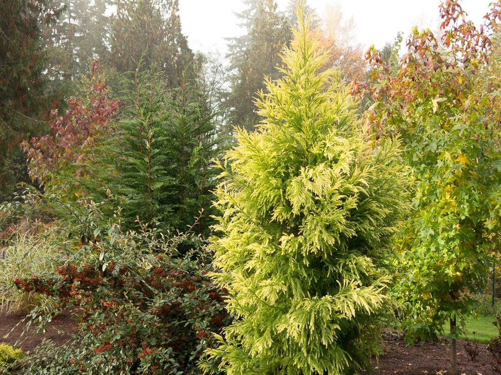 Great Design Plants by Le Jardinet - Photo 67