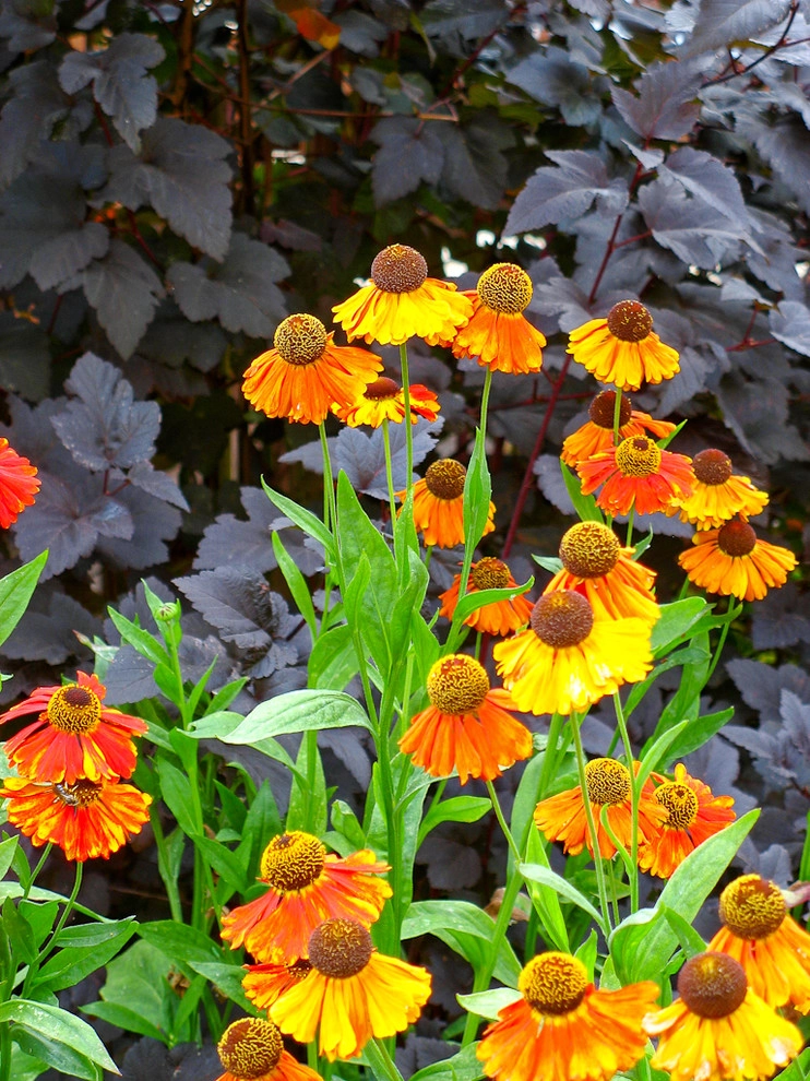 Le Jardinet - Photo 10