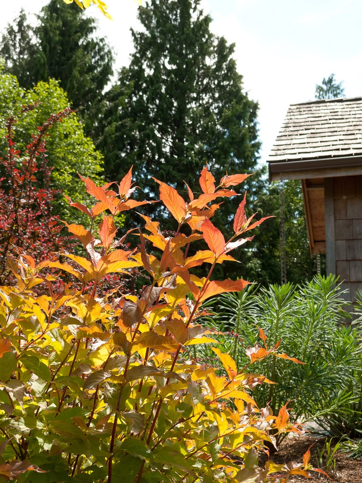 Great Design Plants by Le Jardinet - Photo 82