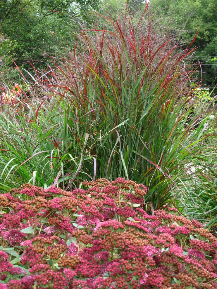 Great Design Plants by Le Jardinet - Photo 22