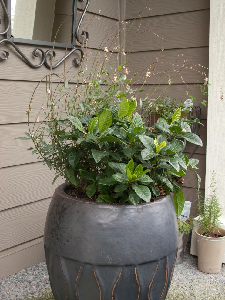 Holiday Container Gardens by Le Jardinet - Photo 3