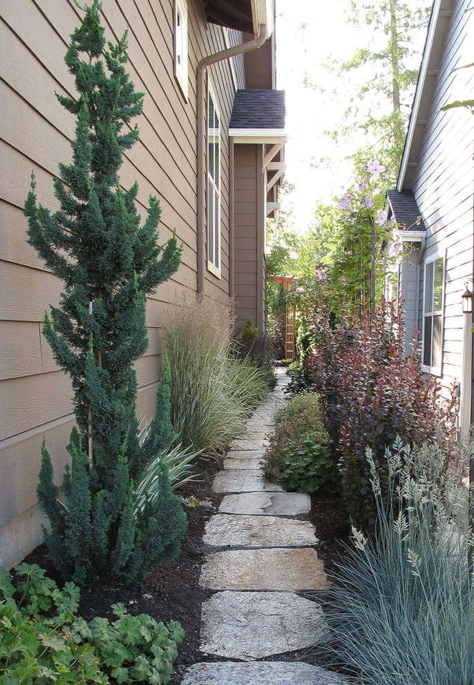 narrow trees for narrow gardens by Le Jardinet - Photo 5