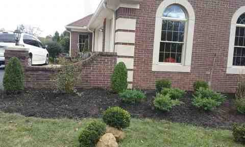 Alberto Alavez Professional Lawn Services LLC 4 by Alberto Alavez Professional Lawn Services LLC - Photo 116