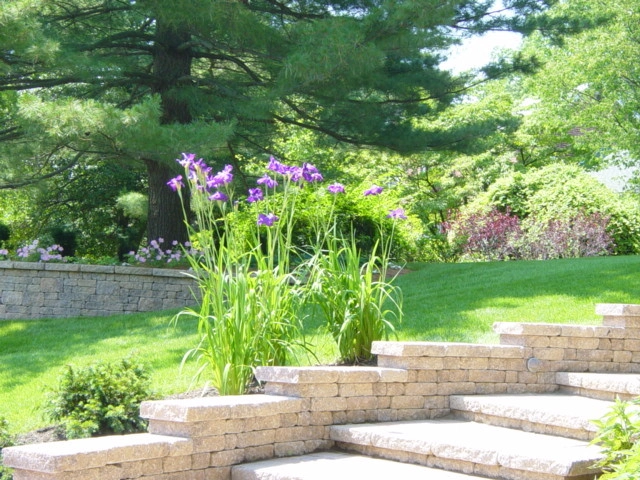 Haddonfield NJ Residence #2 by Ledden Palimeno Landscape Co. - Photo 14