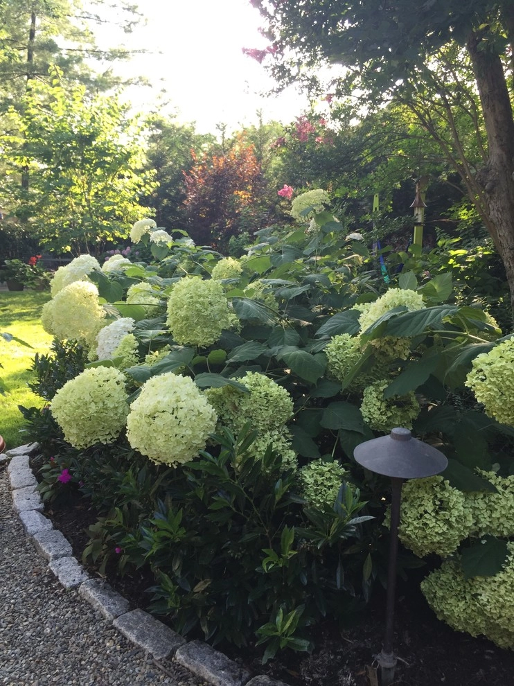 Woodbury NJ Residence by Ledden Palimeno Landscape Co. - Photo 5