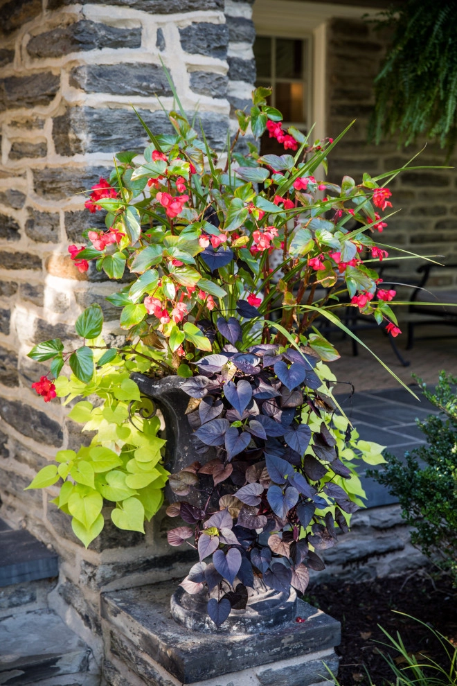 Moorestown, NJ Residence #3 by Ledden Palimeno Landscape Co. - Photo 10
