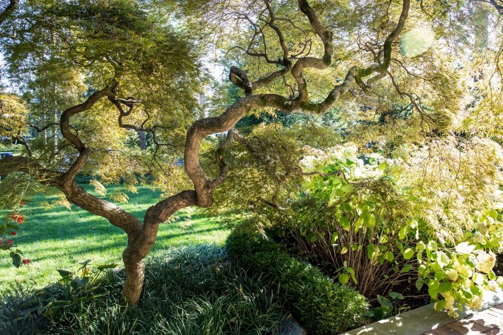 Moorestown, NJ Residence #3 by Ledden Palimeno Landscape Co. - Photo 7
