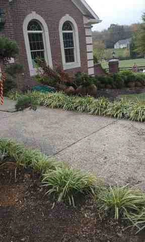 Alberto Alavez Professional Lawn Services LLC 4 by Alberto Alavez Professional Lawn Services LLC - Photo 187
