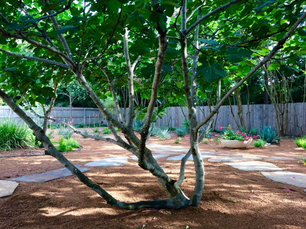 Olmos Park Back Yard Xeriscape by Leifeste Landscape Design - Photo 4