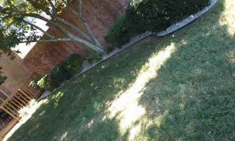 Alberto Alavez Professional Lawn Services LLC 4 by Alberto Alavez Professional Lawn Services LLC - Photo 84