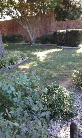 Alberto Alavez Professional Lawn Services LLC 4 by Alberto Alavez Professional Lawn Services LLC - Photo 119