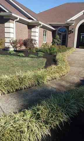 Alberto Alavez Professional Lawn Services LLC 4 by Alberto Alavez Professional Lawn Services LLC - Photo 150