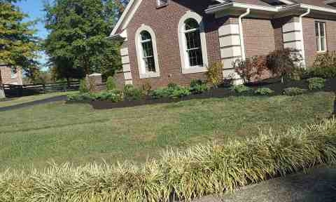 Alberto Alavez Professional Lawn Services LLC 4 by Alberto Alavez Professional Lawn Services LLC - Photo 69
