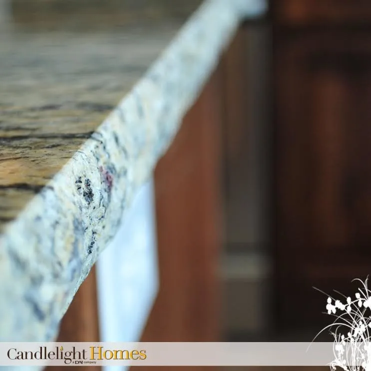 Photo Gallery by Candlelight Homes - Photo 284