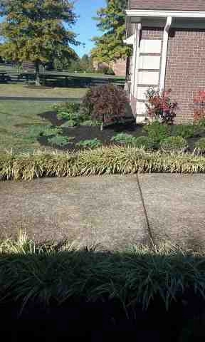 Alberto Alavez Professional Lawn Services LLC 4 by Alberto Alavez Professional Lawn Services LLC - Photo 97