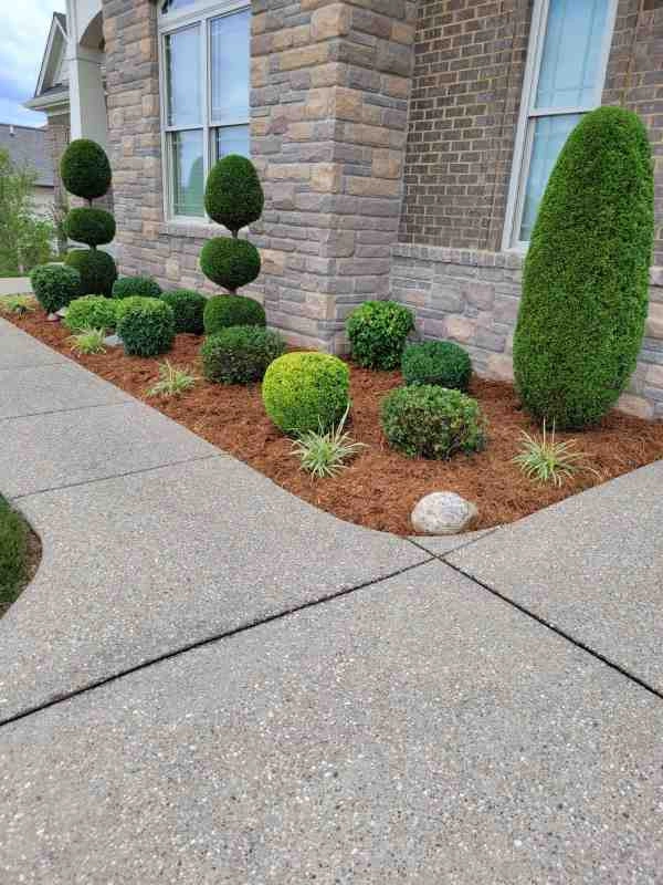 Alberto Alavez Professional Lawn Services LLC 4 by Alberto Alavez Professional Lawn Services LLC - Photo 59
