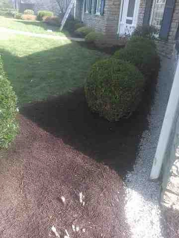 Alberto Alavez Professional Lawn Services LLC 4 by Alberto Alavez Professional Lawn Services LLC - Photo 20