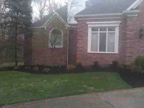 Alberto Alavez Professional Lawn Services LLC 4 by Alberto Alavez Professional Lawn Services LLC - Photo 167