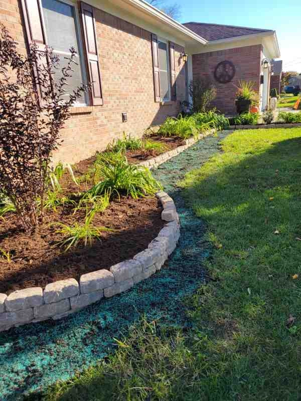 Alberto Alavez Professional Lawn Services LLC 7 by Alberto Alavez Professional Lawn Services LLC - Photo 47