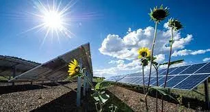 Solar Initiative by GVS Design & Build - Photo 4