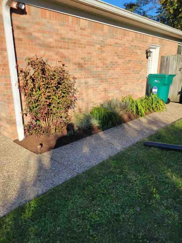 Alberto Alavez Professional Lawn Services LLC 7 by Alberto Alavez Professional Lawn Services LLC - Photo 12