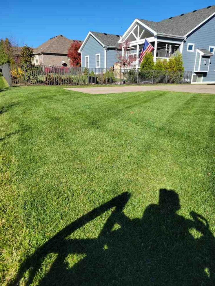 Alberto Alavez Professional Lawn Services LLC 7 by Alberto Alavez Professional Lawn Services LLC - Photo 36