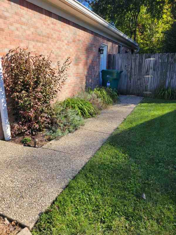 Alberto Alavez Professional Lawn Services LLC 7 by Alberto Alavez Professional Lawn Services LLC - Photo 44