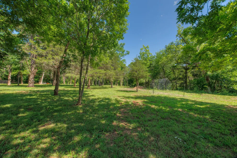 Custom Southern Preserve by Design By Matlock - Photo 23