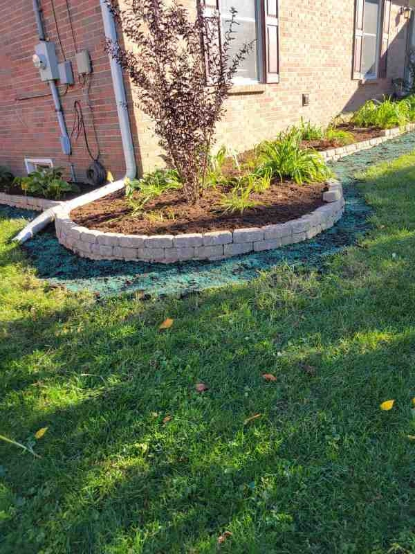 Alberto Alavez Professional Lawn Services LLC 7 by Alberto Alavez Professional Lawn Services LLC - Photo 25