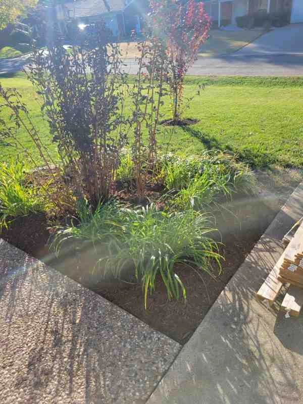 Alberto Alavez Professional Lawn Services LLC 7 by Alberto Alavez Professional Lawn Services LLC - Photo 41
