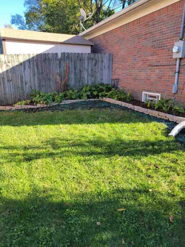 Alberto Alavez Professional Lawn Services LLC 7 by Alberto Alavez Professional Lawn Services LLC - Photo 43