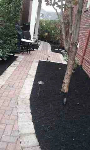 Alberto Alavez Professional Lawn Services LLC 1 by Alberto Alavez Professional Lawn Services LLC - Photo 40