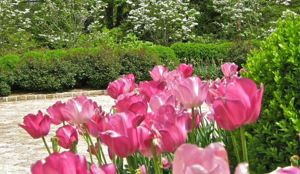 Kathy's garden by Liquidscapes - Photo 3