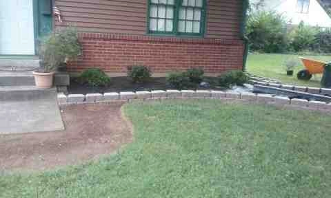 Alberto Alavez Professional Lawn Services LLC 1 by Alberto Alavez Professional Lawn Services LLC - Photo 25