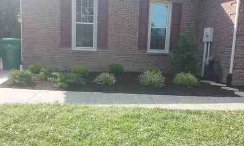 Alberto Alavez Professional Lawn Services LLC - Photo 3