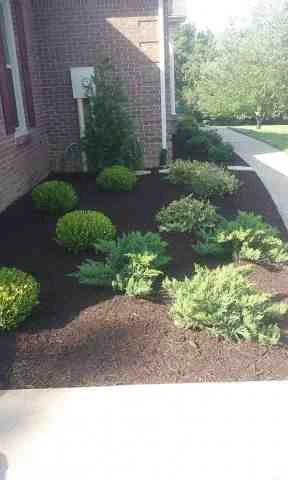 Alberto Alavez Professional Lawn Services LLC 1 by Alberto Alavez Professional Lawn Services LLC - Photo 37