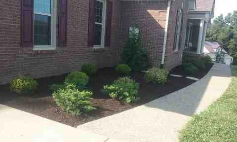 Alberto Alavez Professional Lawn Services LLC 1 by Alberto Alavez Professional Lawn Services LLC - Photo 26