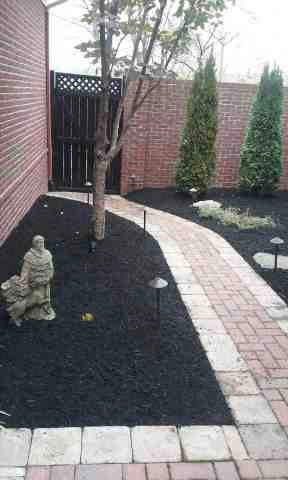 Alberto Alavez Professional Lawn Services LLC 1 by Alberto Alavez Professional Lawn Services LLC - Photo 21