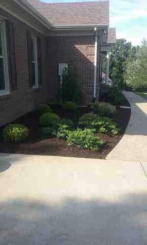 Alberto Alavez Professional Lawn Services LLC 1 by Alberto Alavez Professional Lawn Services LLC - Photo 55