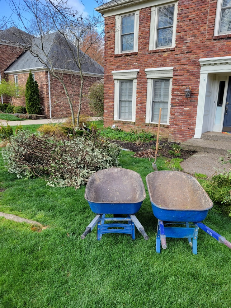 Alberto Alavez Professional Lawn Services LLC by Alberto Alavez Professional Lawn Services LLC - Photo 3