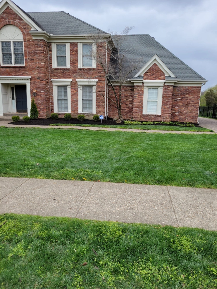 Alberto Alavez Professional Lawn Services LLC by Alberto Alavez Professional Lawn Services LLC - Photo 19