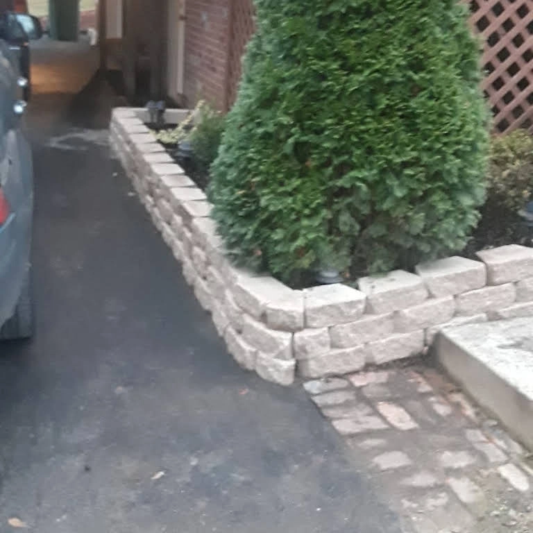 Alberto Alavez Professional Lawn Services LLC by Alberto Alavez Professional Lawn Services LLC - Photo 26