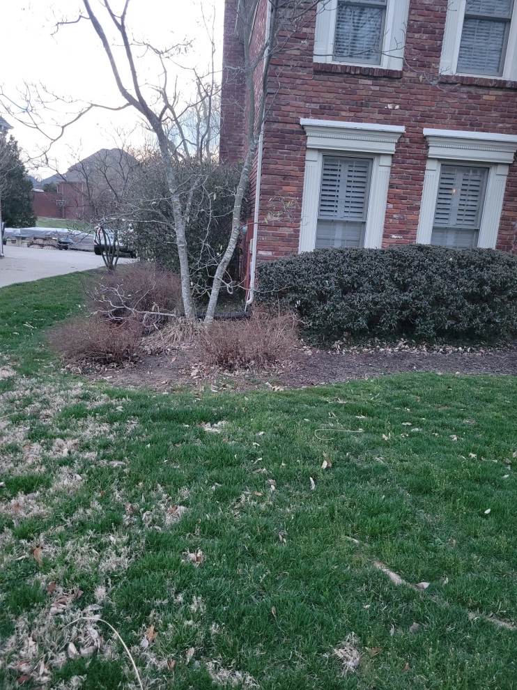 Alberto Alavez Professional Lawn Services LLC by Alberto Alavez Professional Lawn Services LLC - Photo 22