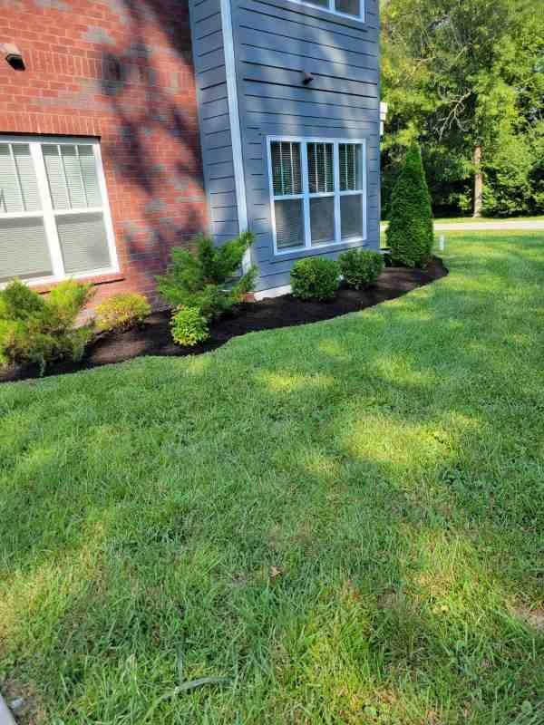 Alberto Alavez Professional Lawn Services LLC 3 by Alberto Alavez Professional Lawn Services LLC - Photo 41
