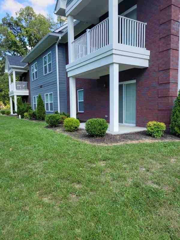 Alberto Alavez Professional Lawn Services LLC 3 by Alberto Alavez Professional Lawn Services LLC - Photo 27