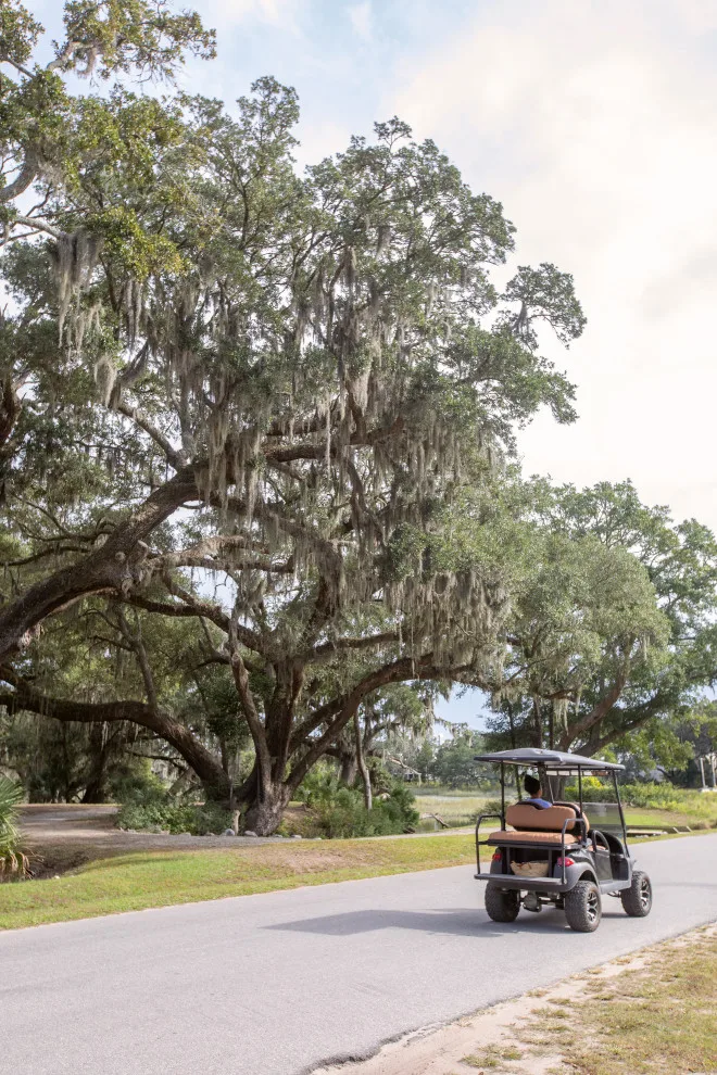 Jack Island Beech Exclusively for Kiawah River by Delpino Custom Homes - Photo 62